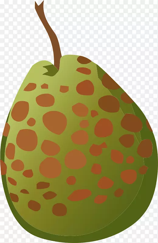 ʳ�﷬ʯ�������-��ʯ��-������