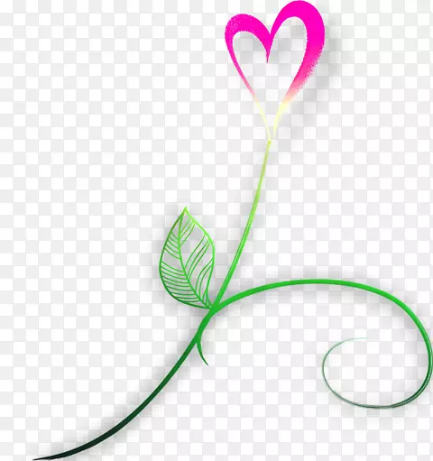 ��ɫ����ֲ��-������