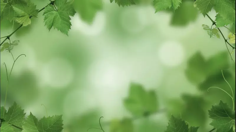 ��ɫ���쵽��-������