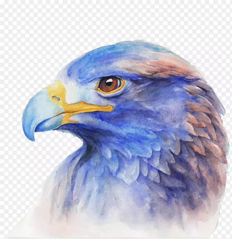 ��ɫˮ�ʻ�����ͷ��-������