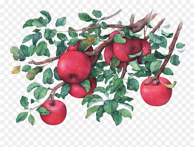 ˮ�ʹ�ʵ-������