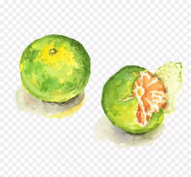 ˮ������-������