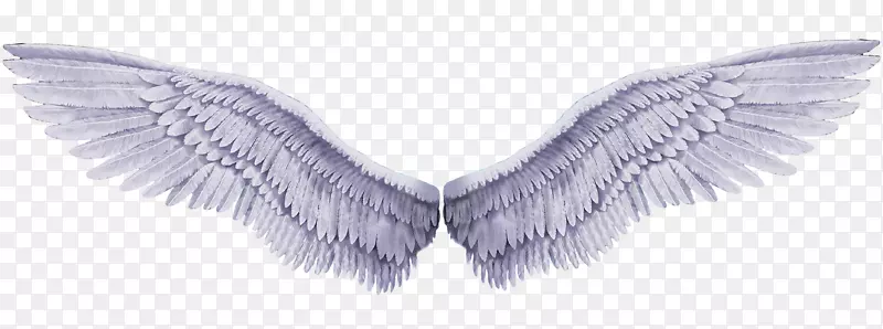 ���  �ɳ�  ����-������