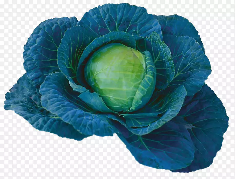 �߲� ����-������