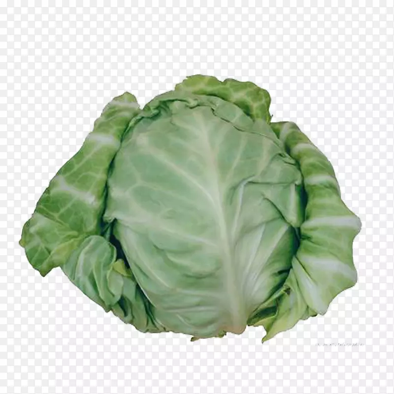 ��ɫ�߲�-������