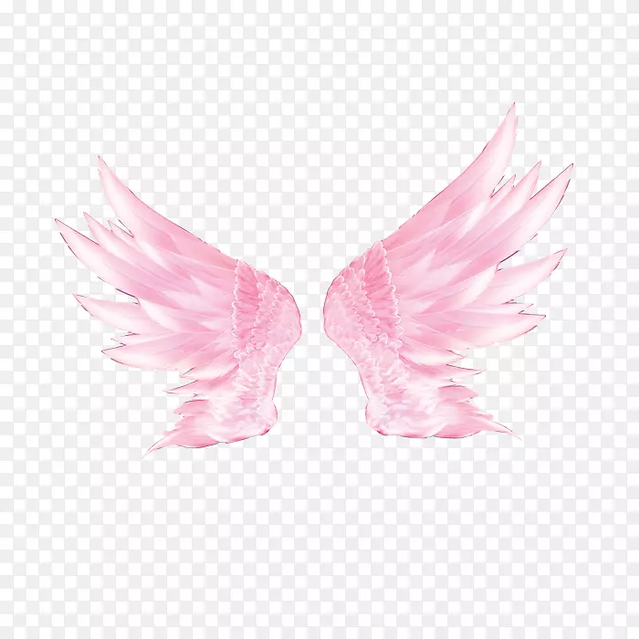 ��ɫ���-������