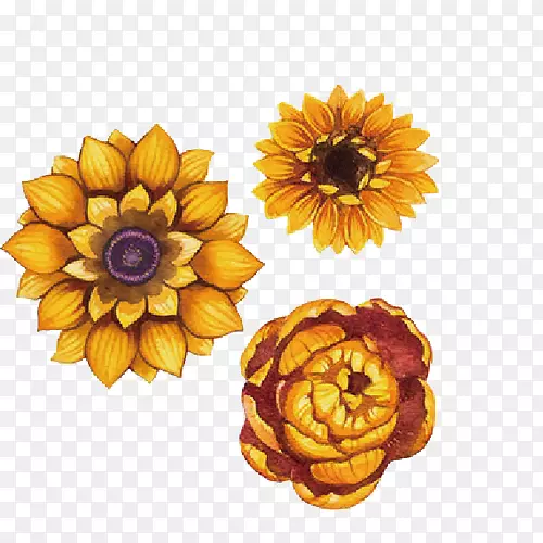 �ֻ��ɫ��-������