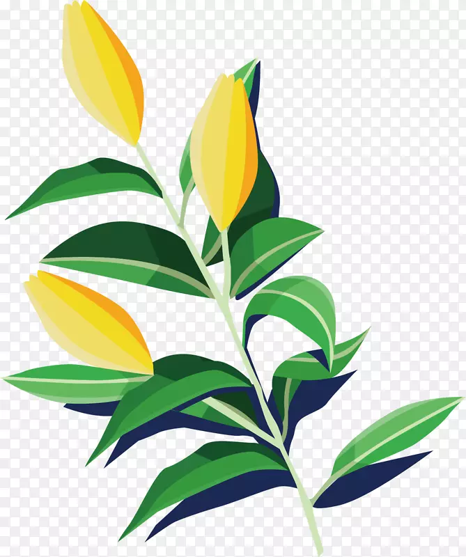 ��ͨ��֦ʸ��ͼ����-������