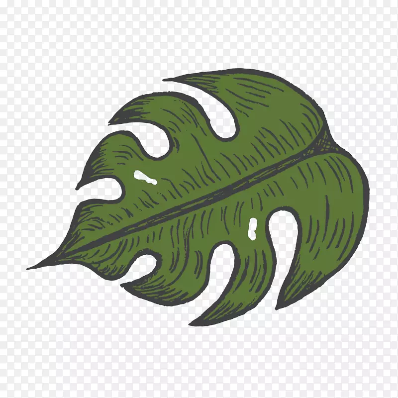 �ֻ��ȴ���Ҷʸ���ز�-������