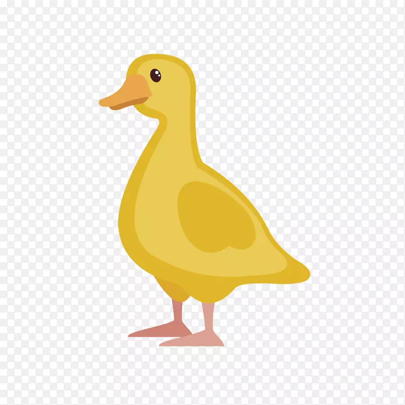 ��ͨС��ѼPNG����-������