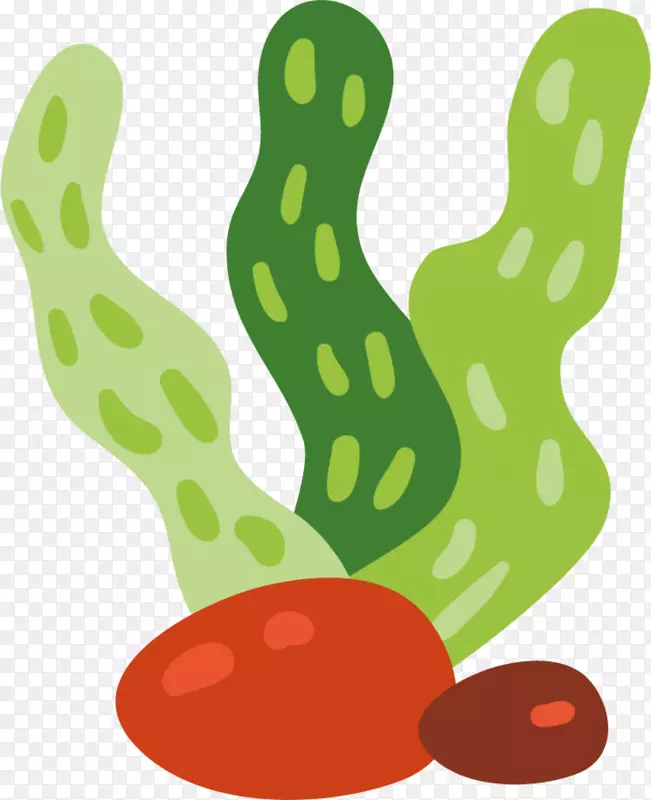 ����ֲ���趯�ĺ���-������