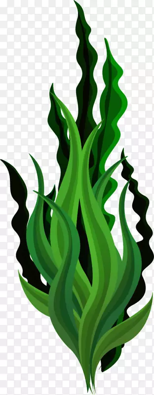 ���纣�����趯�ĺ���-������