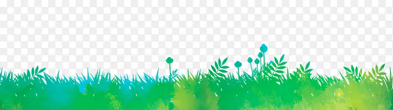 ��ͨ��ɫˮ��С�ݱ���-������