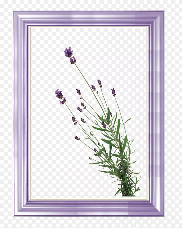 ޹�²����-������