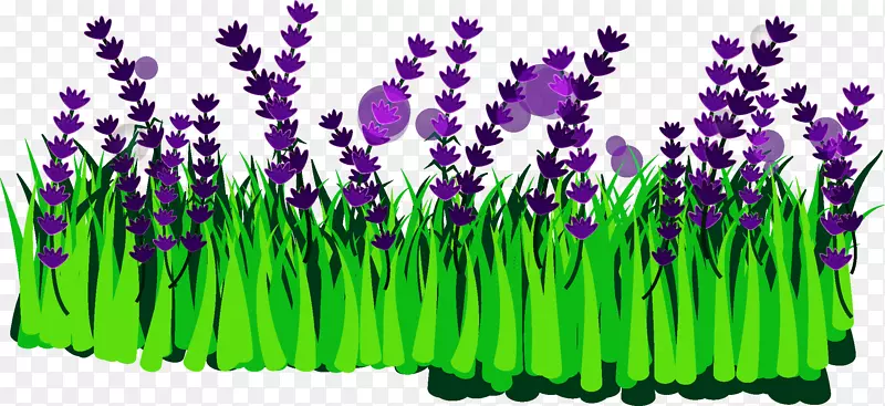 Ѭ�²�-������