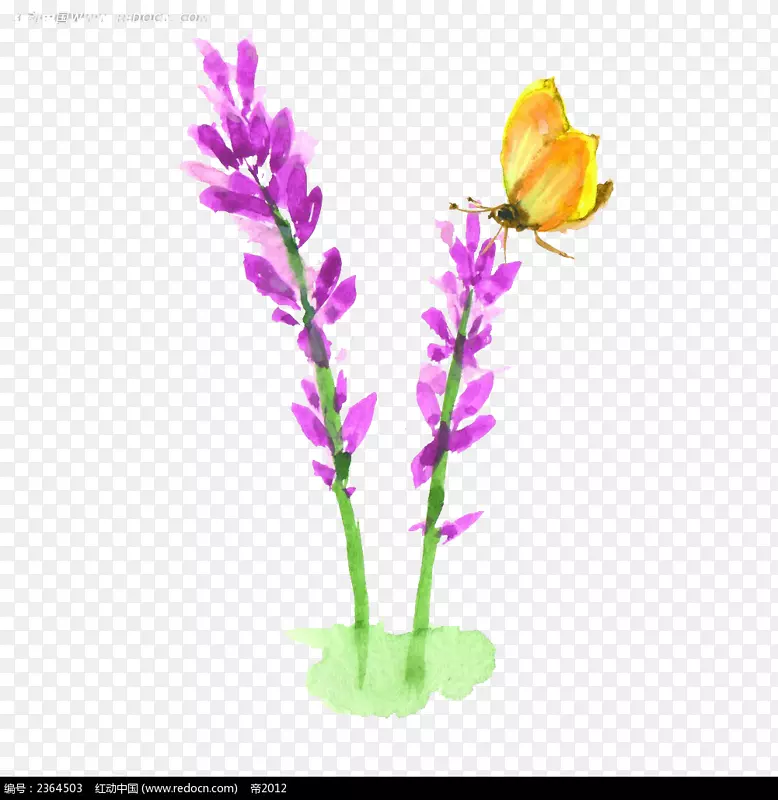 Ѭ�²�-������