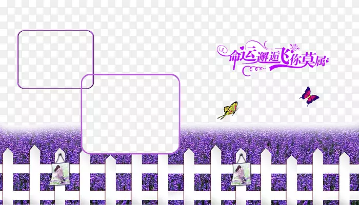 ޹�²�ׯ԰����ز�-������