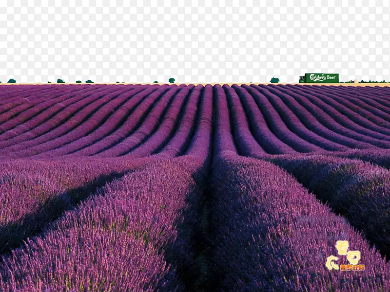 �½�����Ѭ�²�ׯ԰-������