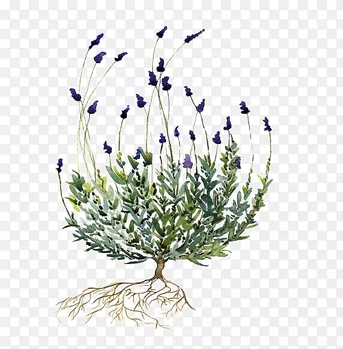 �ֻ�Ѭ�²�����-������