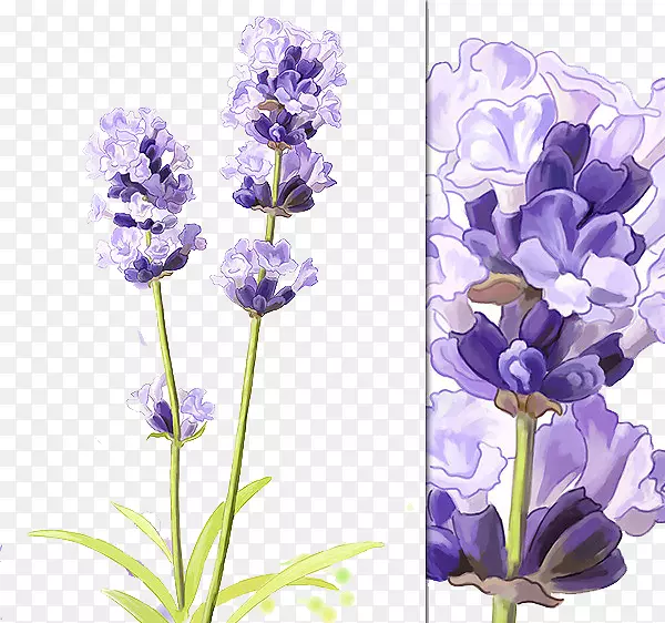 ˮīѬ�²�-������