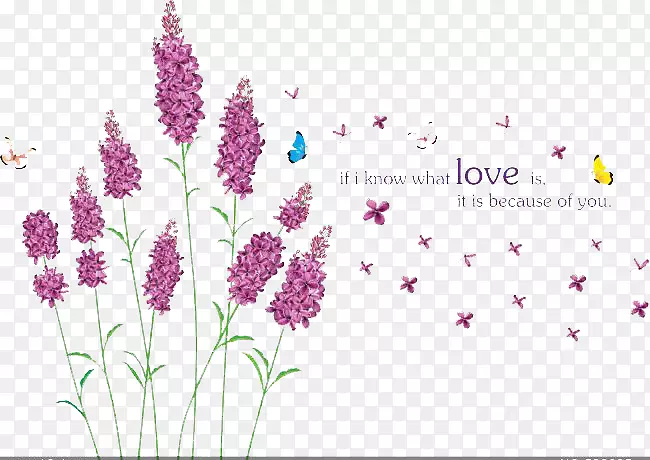 Ѭ�²�ǽ��-������