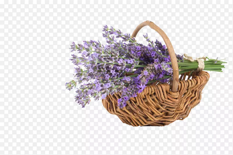 һ����Ѭ�²�-������