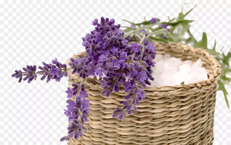 ����Ѭ�²�-������