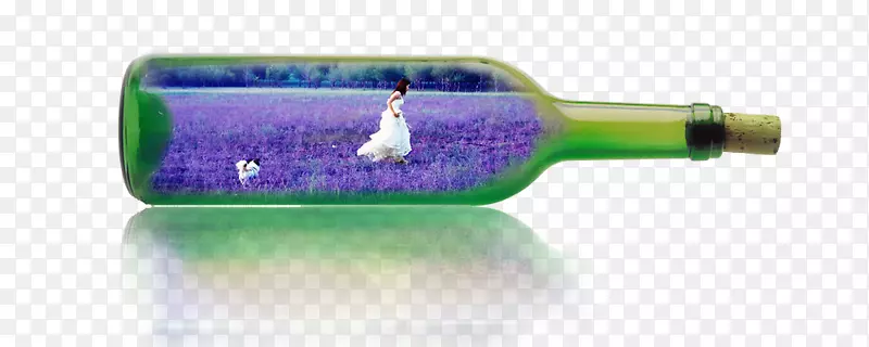 ޹�²�Ư��ƿ-������