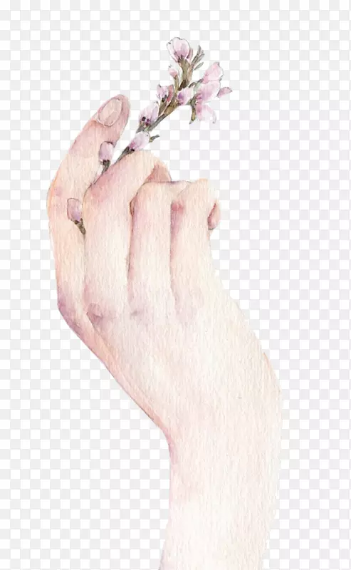 �ʻ�װ�������ʻ��ز�-������