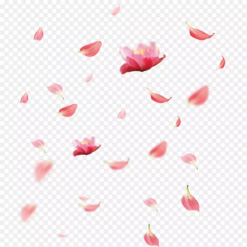 �������˽ڿ�ͨ����װ������-������