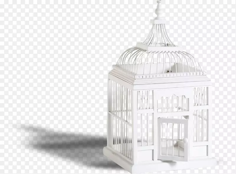 ��ɫ����-������