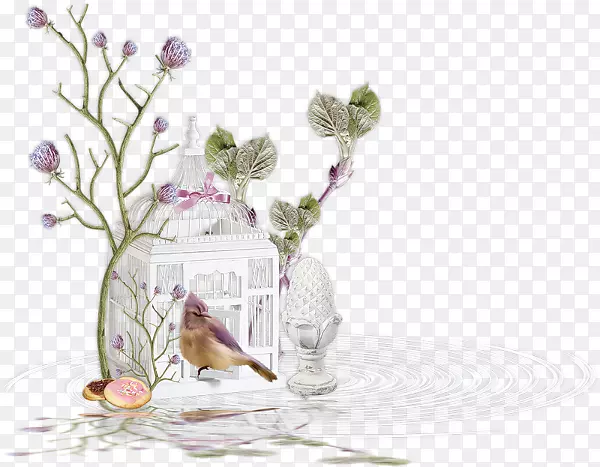 ��ɫ����-������