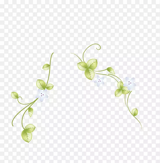 ���ܱ߿�-������