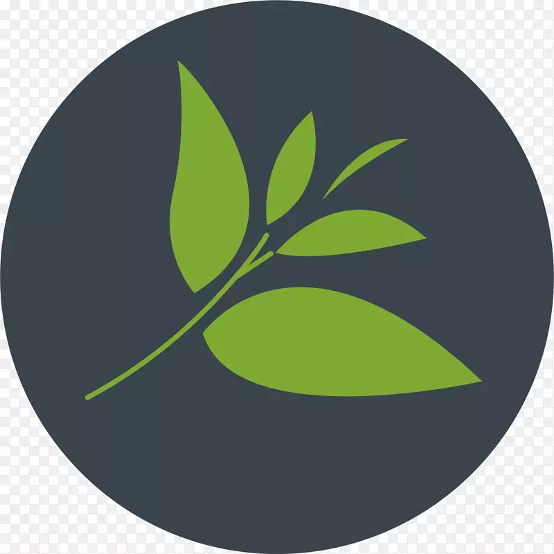 Բ�εĻ����ǩ���-������