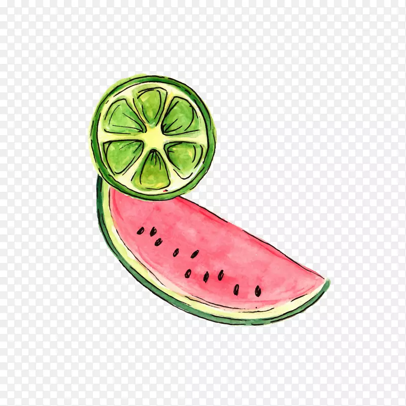 ��������Ƭ�������-������