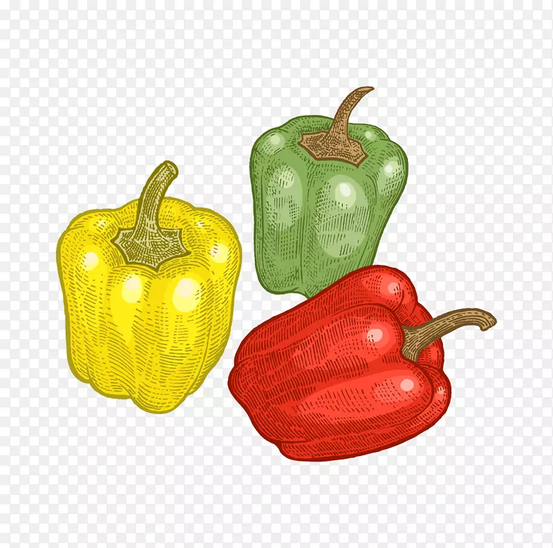 ��ͨ�ֻ��߲�װ�κ������-������