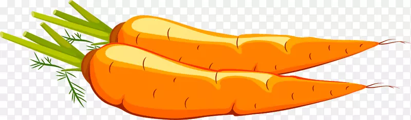 ��ͨ�ֻ��߲�װ�κ�����ƺ��ܲ�-������