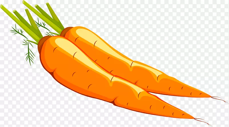 ��ͨ�ֻ��߲�װ�κ�����ƺ��ܲ�-������