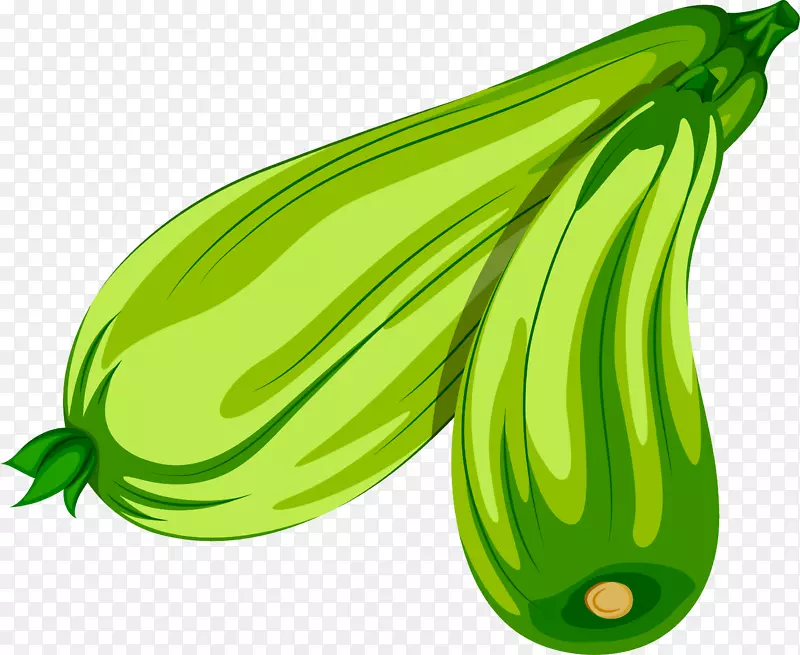 ��ͨ�ֻ��߲�װ�κ�����ƹ�-������