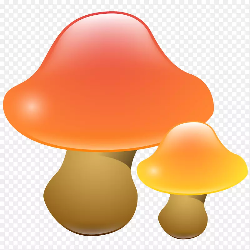 ��ͨ�ֻ��߲�װ�κ������Ģ��-������