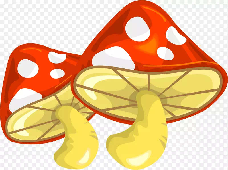 ��ͨ�ֻ��߲�װ�κ������Ģ��-������