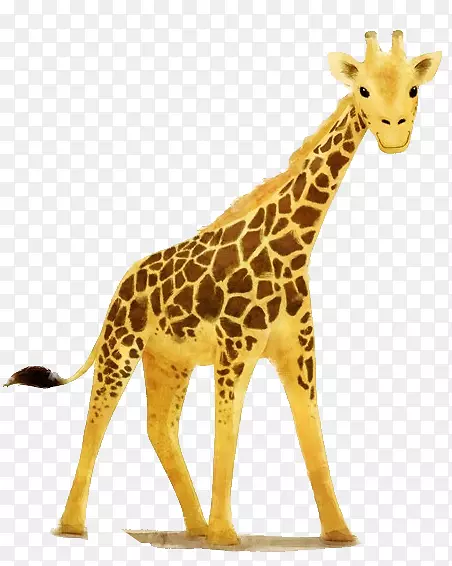 �ز�Ԫ���ɾ��ز�-������