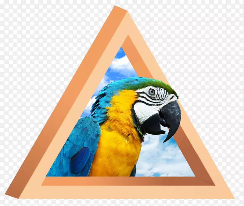 �����������߳�һֻ����-������