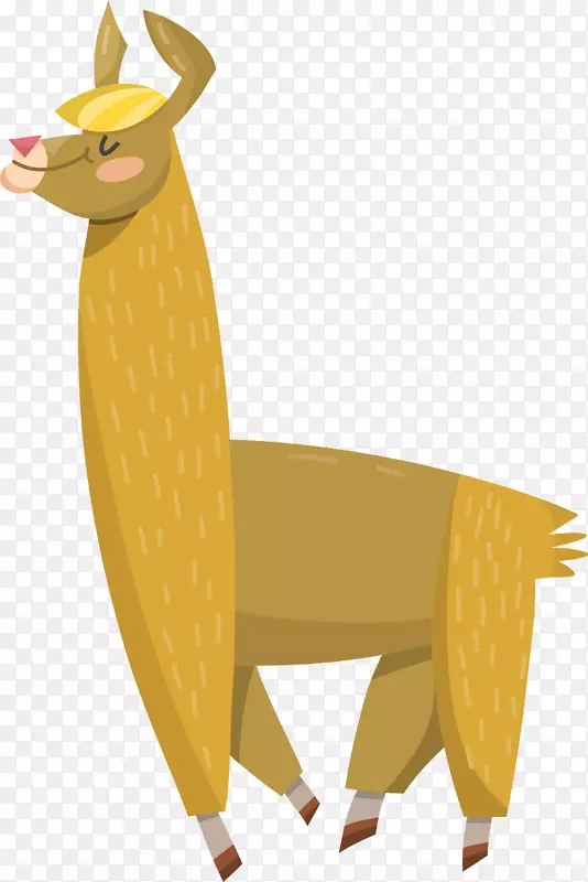 ��ͨ�ɰ�����¹������ֽ-������