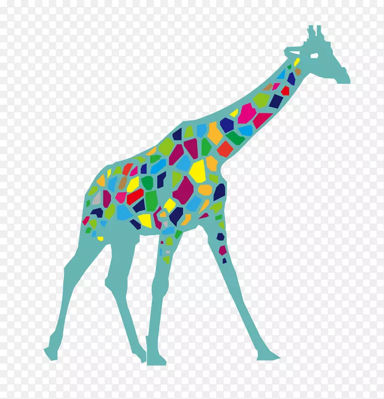 ��ͨ�ɰ�С����װ�ζ���ͷ��-������