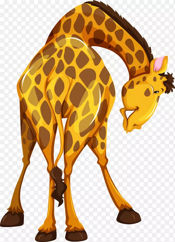 ��ͨ�ɰ�С����װ�ζ���ͷ�񳤾�-������