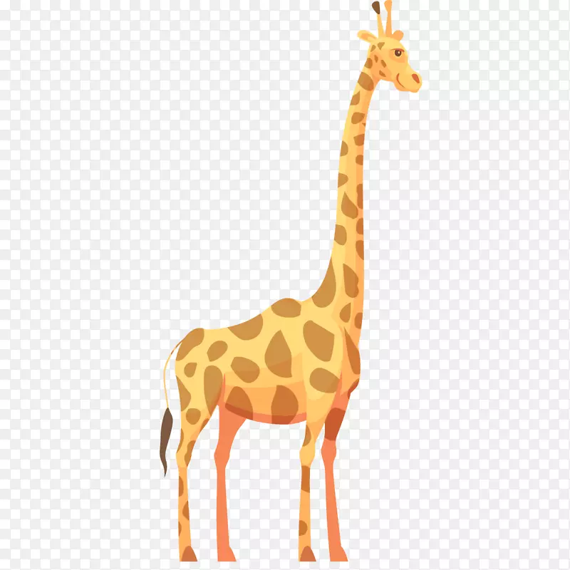 ��ͨ�ɰ�С����װ�ζ���ͷ��-������