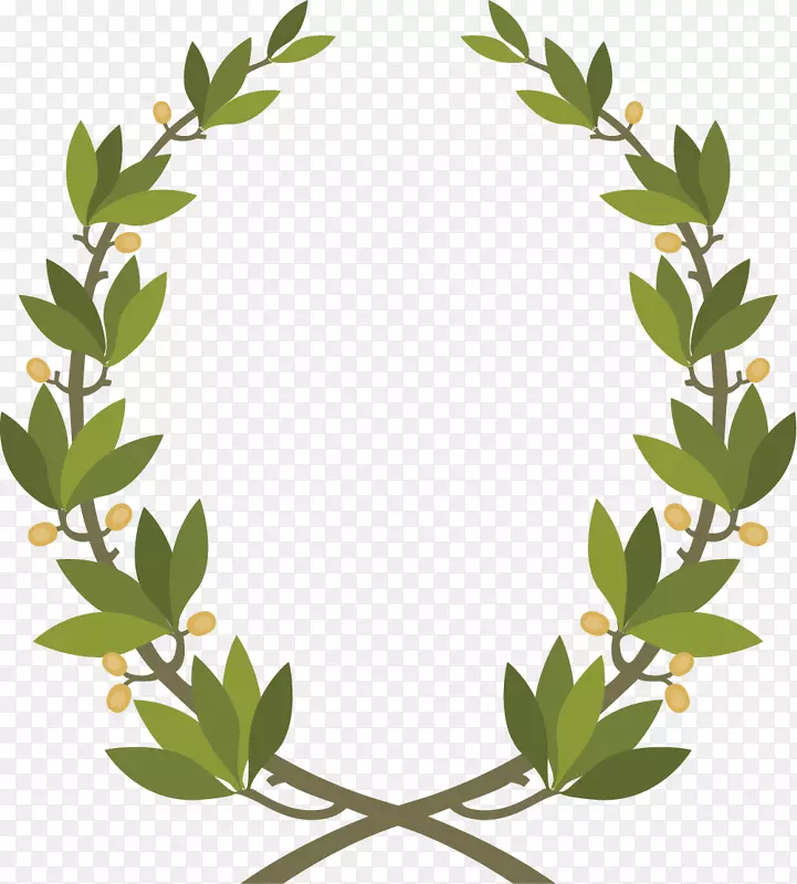 ��ɫ��ƽ���Գ�ʸ������-������