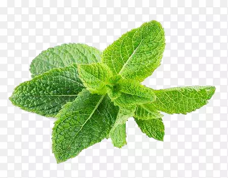 ��Ʒʵ��ʵ�ı���Ҷ-������