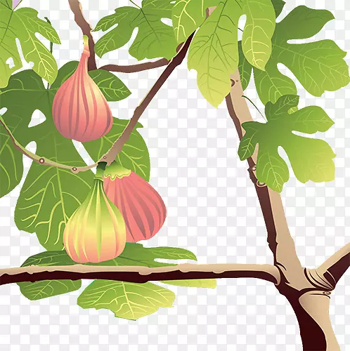 �޻�����֦��Ҷ��-������